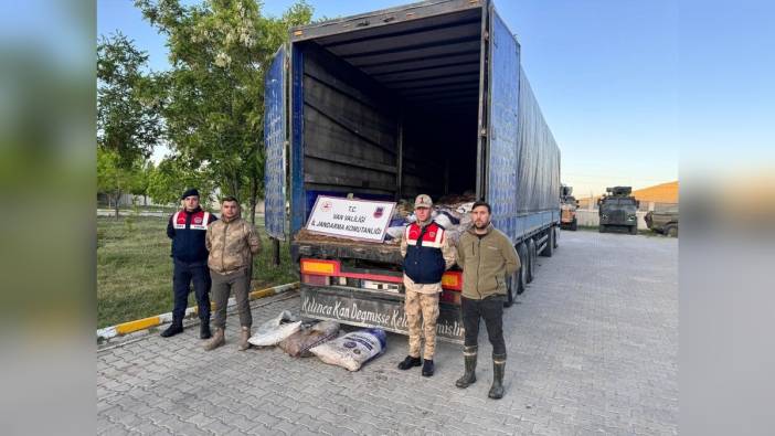 Van'da 22 ton inci kefali ele geçirildi