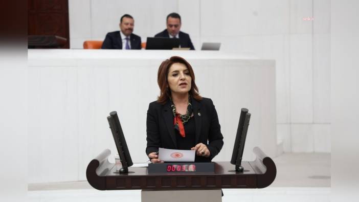 CHP'li Kış: Emeklinin bayram ikramiyesiyle 2018'de 6 gram altın alınıyordu, şimdi ise 1,5 gram