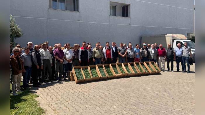 Tekirdağ'da 314 üreticiye 283 bin fide dağıtıldı