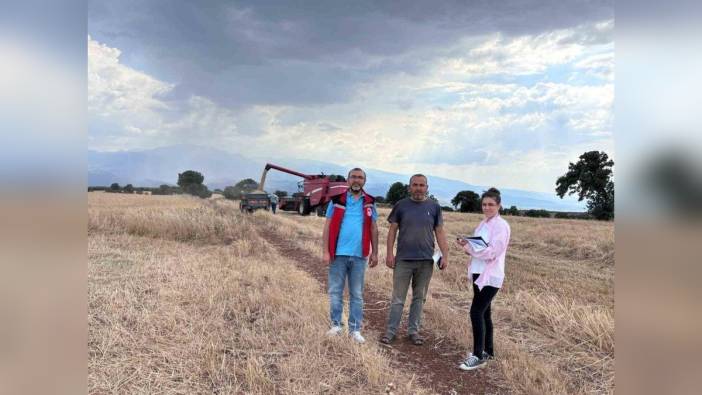 Salihli Ovası'nda hububat hasadı denetimleri başladı
