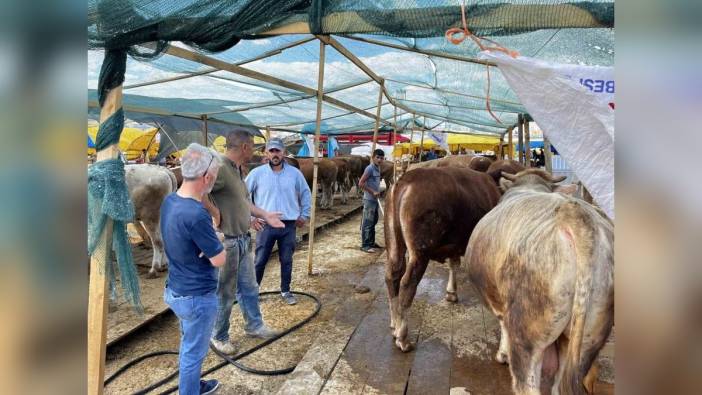 Sincan Belediyesi'nden Kurban Bayramı hazırlıkları tamamlandı: 10 kesim noktası vatandaşın hizmetinde