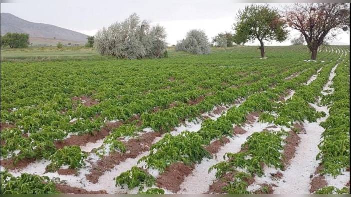 Nevşehir'de sağanak ve dolu yağışı: Tarım arazileri zarar gördü