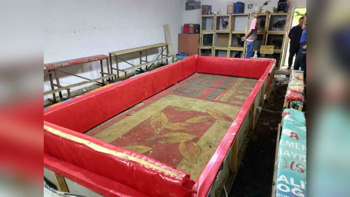 Samsun'da horoz dövüşüne baskın: 17 horoz ele geçirildi, 14 kişiye işlem yapıldı