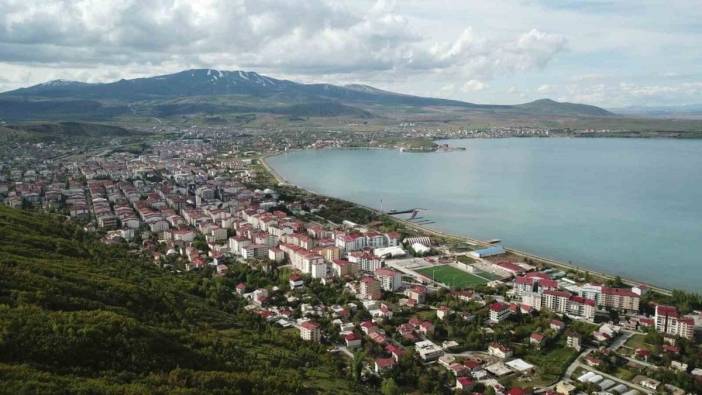 Bitlis'in Tatvan ilçesinde 6 köyde muhtarlık seçimleri yenilendi