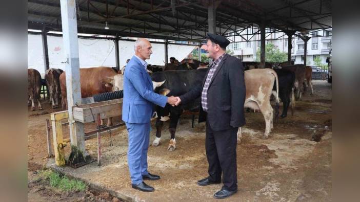 Ordu Büyükşehir Belediyesi, Kurban Bayramı hazırlıklarını tamamladı