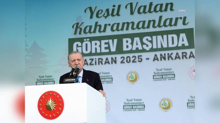 Cumhurbaşkanı Erdoğan: Orman yangınlarıyla mücadelede önemli mesafeler kaydettik