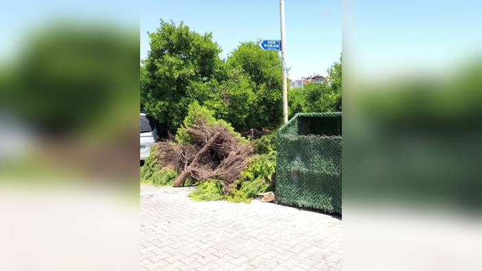 Marmaris Belediyesi'nden ücretsiz atık toplama hizmeti