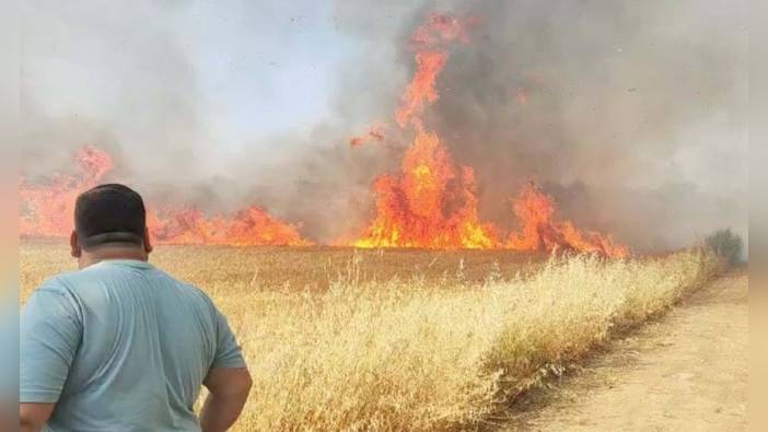 Turgutlu'da buğday tarlasında yangın