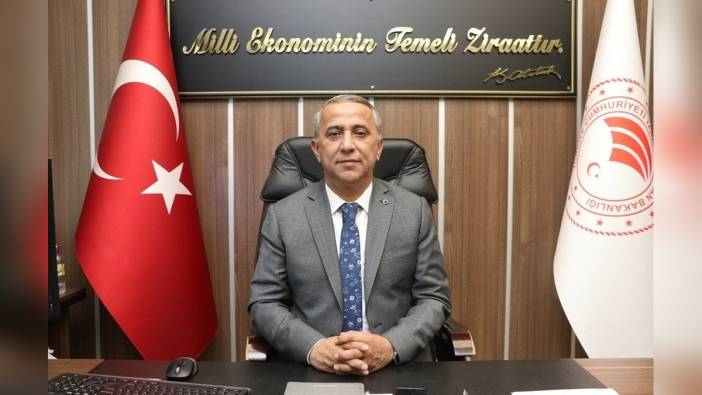 Samsun İl Tarım ve Orman Müdürü Sağlam'dan fındık üreticilerine kahverengi kokarca uyarısı