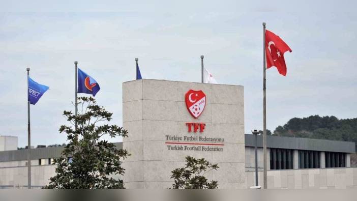 TFF, 4 Süper Lig kulübünü PFDK'ya sevk etti