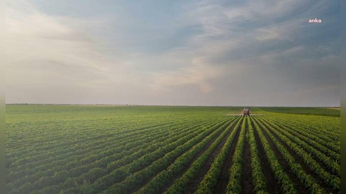 TMO 2025 hububat alım fiyatlarını açıkladı: Ekmeklik ve makarnalık buğday 13 bin 500 TL, arpa 11 bin TL