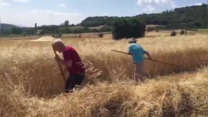 CHP'li Durmaz: TMO'nun buğday ve arpa alım fiyatları çiftçiyi memnun etmedi