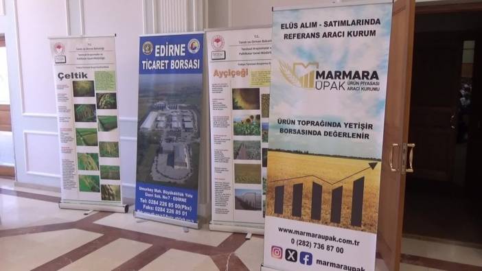 Edirne'de 720 bin ton buğday rekoltesi bekleniyor