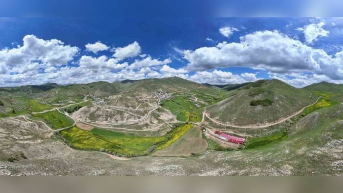 Gümüşhane'nin Sarıçiçek köyü, 20 günlük sarı çiçek şölenine ev sahipliği yapıyor