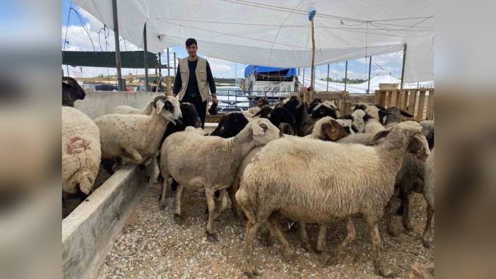 Konya'da kurban pazarı sakin: Arife günü yoğunluk bekleniyor