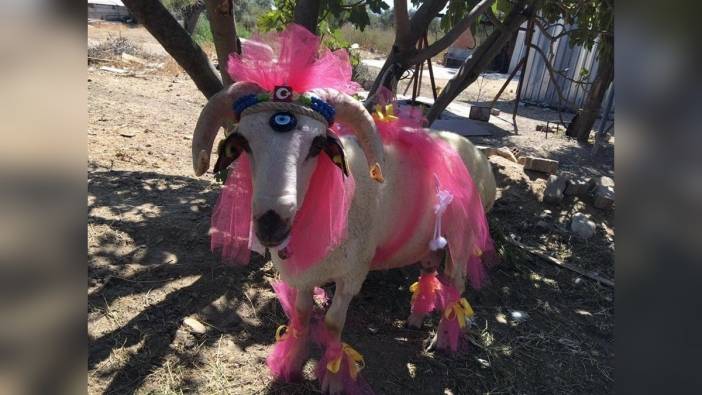 Bayburt'ta asırlık gelin koçu geleneği sürüyor