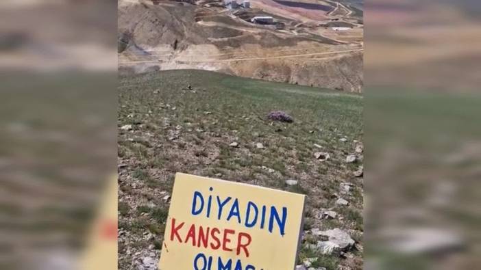 Ağrı'da altın madeni projesine çevreciler tepki gösterdi: "Mollakara İliç olmasın"