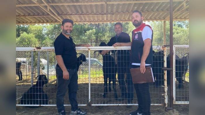 Karacasu'da kurban satış yerleri denetlendi