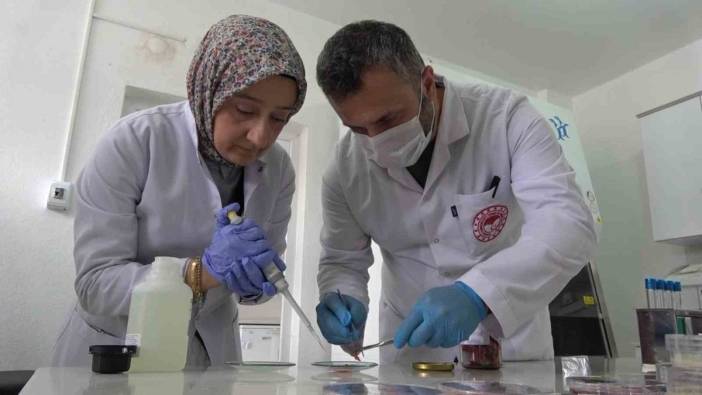 Amasya İl Gıda Kontrol Laboratuvarı Müdürü Kaya'dan Kurban Bayramı'nda et uyarısı: Sıcak eti buzdolabına koymayın