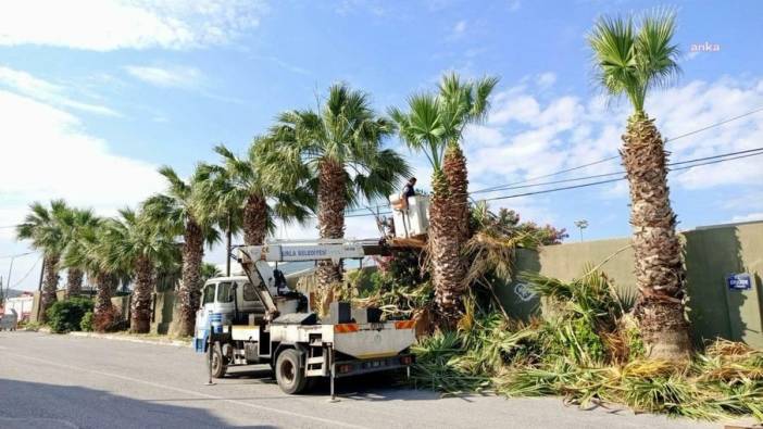 Urla Belediyesi, Kurban Bayramı ve yaz sezonu öncesi kapsamlı temizlik çalışması başlattı