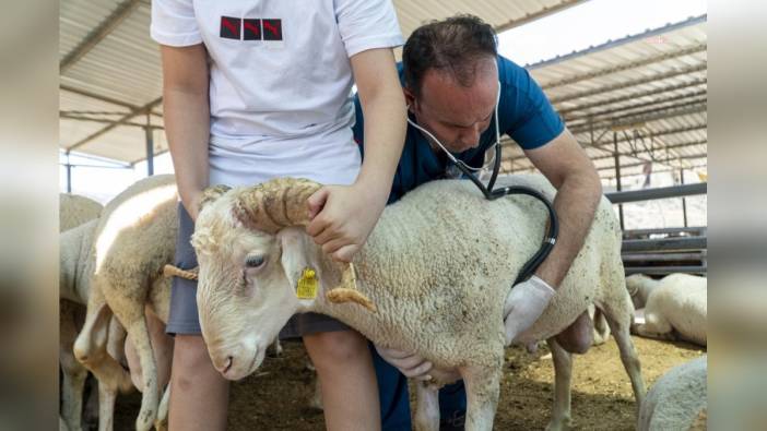 Karşıyaka Belediyesi kurban bayramı hazırlıklarını tamamladı