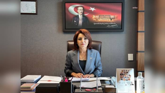 CHP'li Gülcan Kış: Tekstil ve hazır giyim sektöründe 300 bin kişilik istihdam kaybı yaşandı