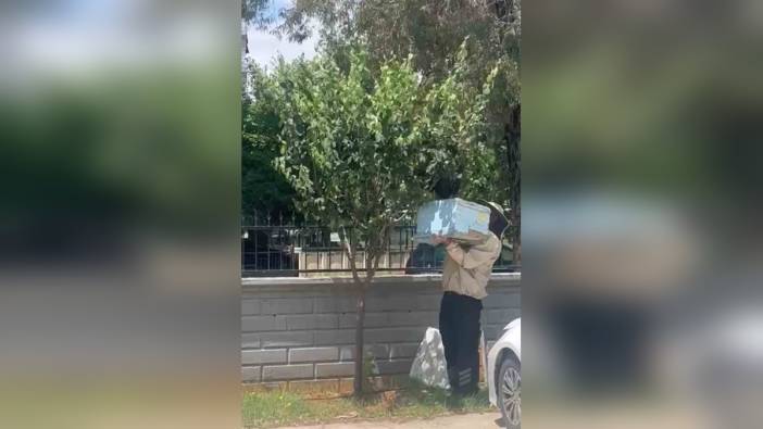 Kozan'da güvenlik görevlisi arı sürüsünü güvenli şekilde kovana aldı