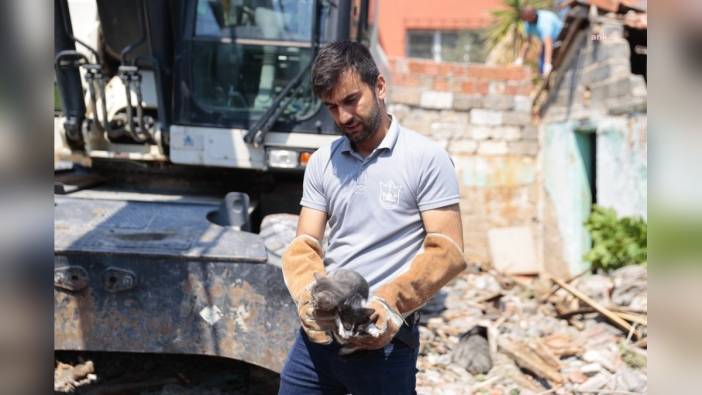 Konak Belediyesi yıkım çalışmasında iki yavru kediyi kurtardı