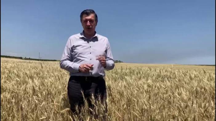 Prof. Dr. Okan Gaytancıoğlu: Buğday alım fiyatı üretimi baltalıyor