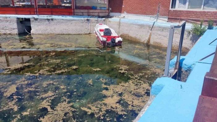 Sakaryabaşı Mesire Havuzu'nun suyu izinsiz boşaltıldı: DSİ, belediye yetkilileri hakkında hukuki süreç başlattı