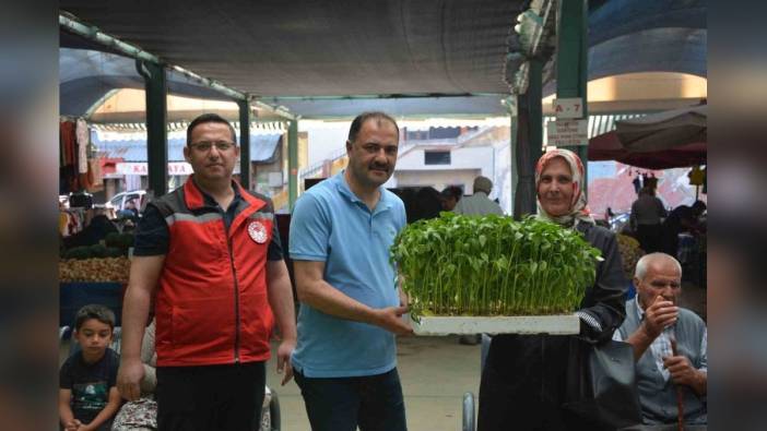 Demirci'de çiftçilere 40 bin ücretsiz fide dağıtıldı