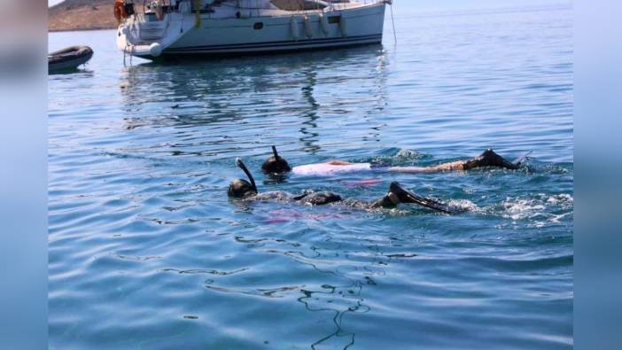 Bodrum'da 241 kilogram deniz çöpü toplandı