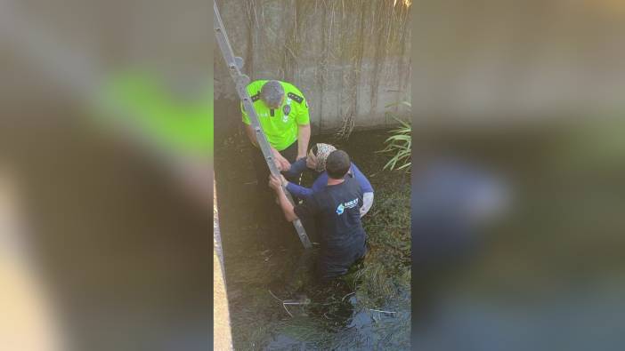 Adapazarı'nda Çark Deresi’ne atlayan kadın kurtarıldı