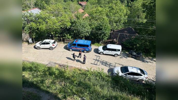 Karabük'te iki köpek telef edildi