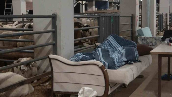 Bursa'da kurban pazarlarında gece nöbeti