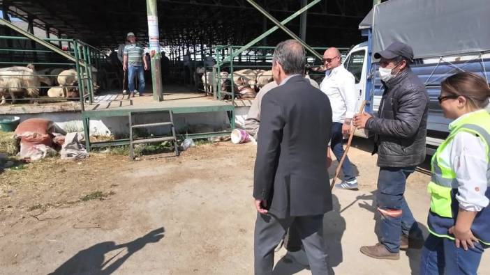 Tepebaşı Belediye Başkanı Ataç, Kurban Bayramı öncesi hayvan pazarını ziyaret etti