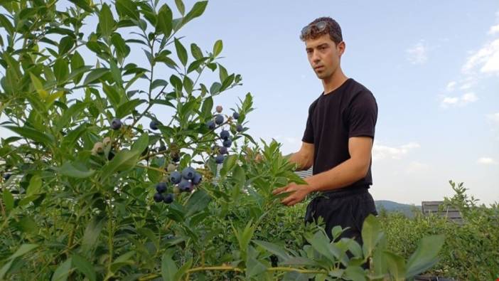 22 yaşında kendi bahçesini kurdu, şimdi 15 ton hasat bekliyor!