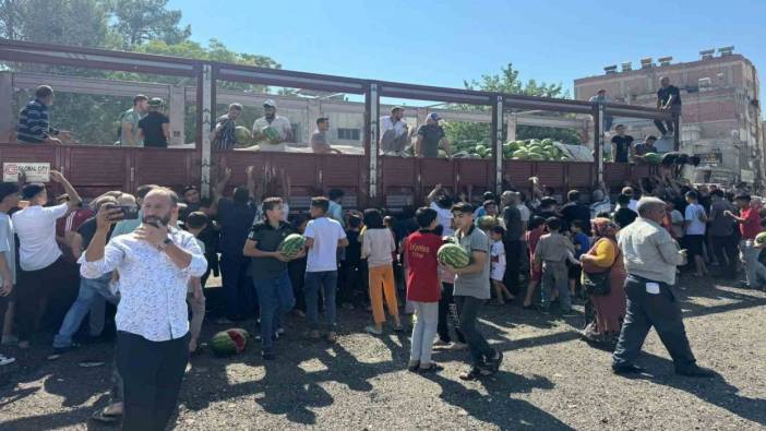 Bedava dağıtılan karpuz izdiham yarattı