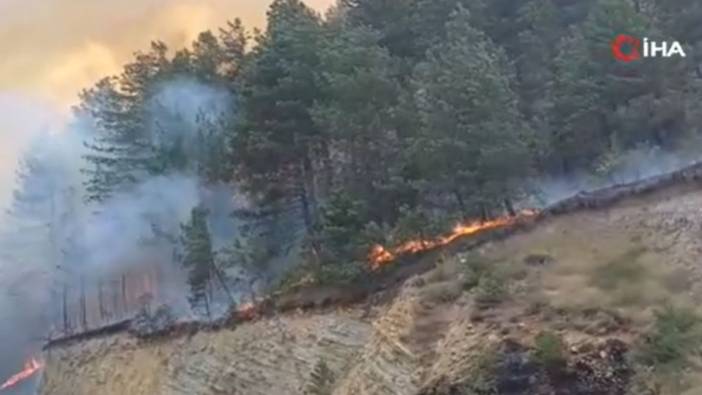 Bolu'da orman yangını: Yangına havadan ve karadan müdahale ediliyor