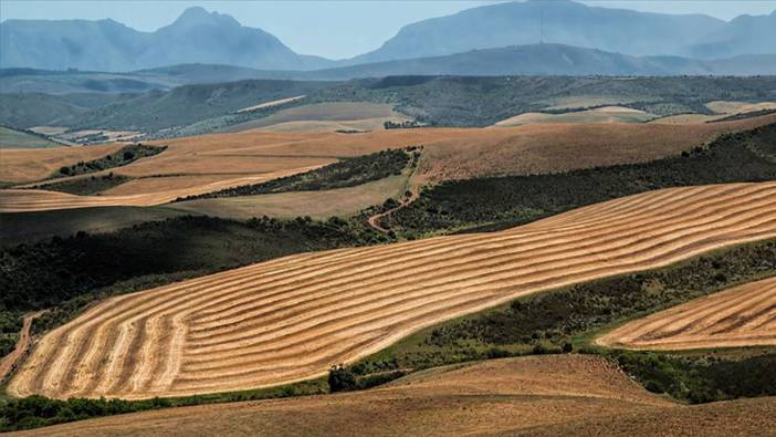 Kullanılmayan araziler sahibine sorulmadan kiraya verilecek
