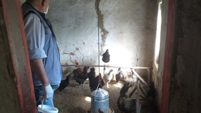 CİMER'e talep etti karantina bölgesindeki hayvanlarının yemlenmesini sağladı