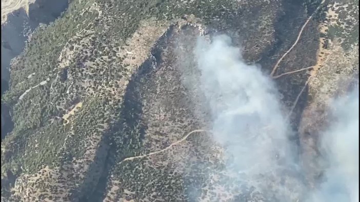 Söke'de yangın ormana sıçradı, ekipler seferber oldu