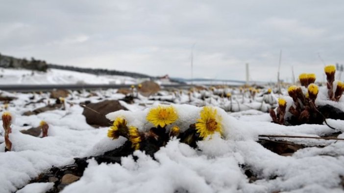 Doğu Anadolu'daki 4 ilde sıcaklıklar gece sıfırın altına düştü