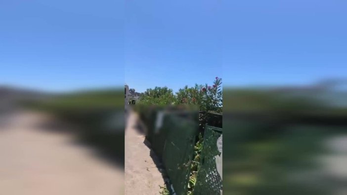 Bodrum'da çevre kirliliğine karşı sert önlemler