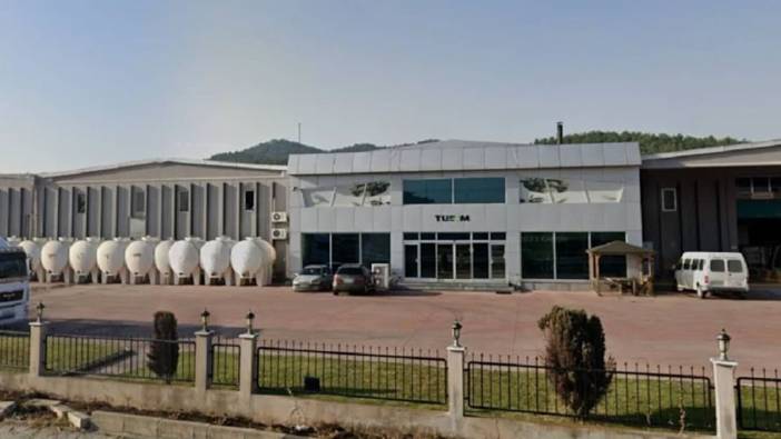 Ünlü zeytin firması konkordato ilan etti