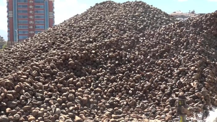 Türkşeker Malatya Fabrikası'nda pancar alım kampanyası büyük bir hızla sürüyor