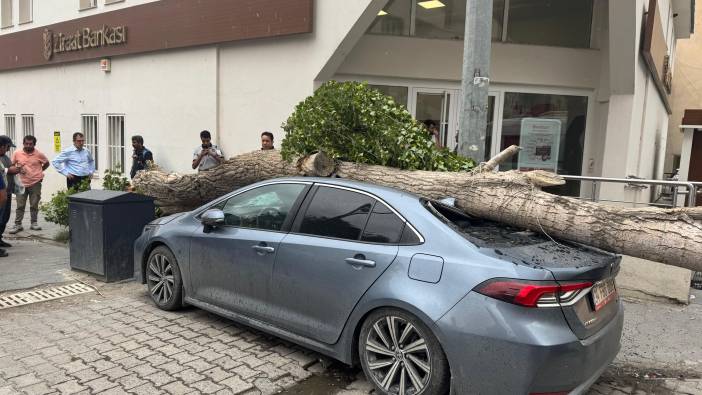 Araba park ederken dikkat! Park halindeki aracın üstüne ağaç düştü