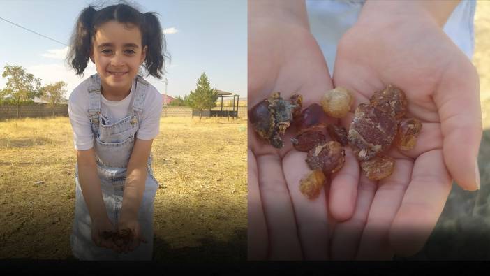 Geleneksel şifalı ürün yeniden popüler oldu