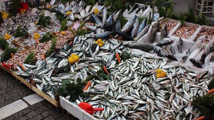 Karadeniz'de hamsi bereketi! Fiyatı düştükçe düştü