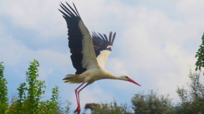 Aydın'da ilk defa Kuşadası'na geldiler